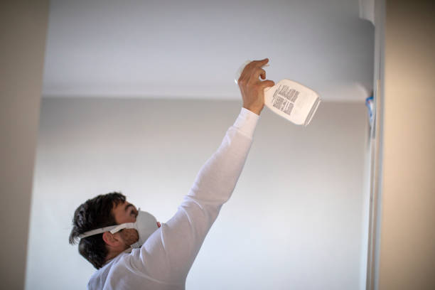 Best Fast Mold Removal  in Yankton, SD